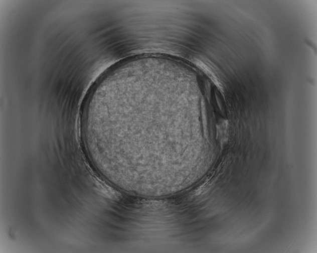 X0000091291076200708311312