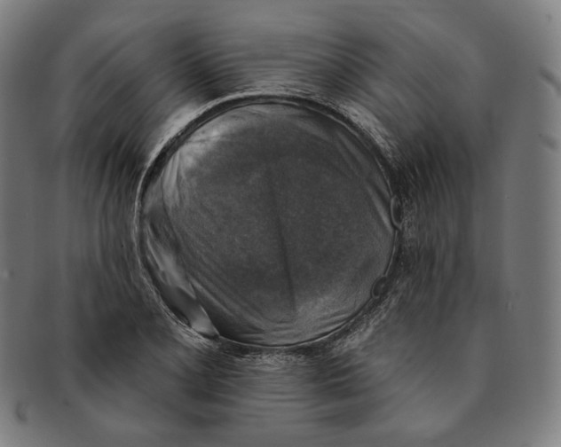 X0000091291077200708311312