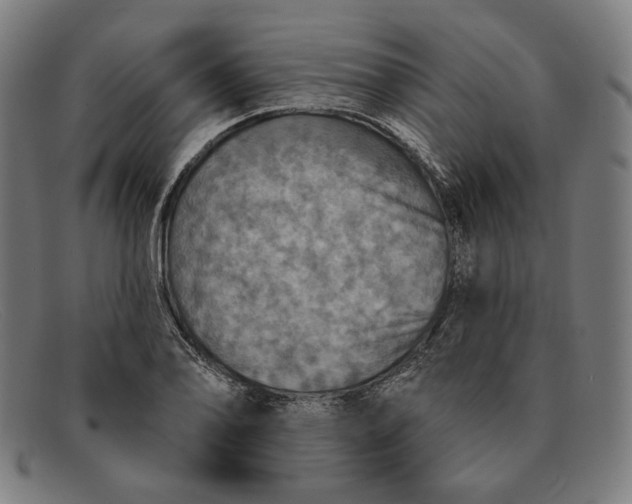 X0000091291078200708311312