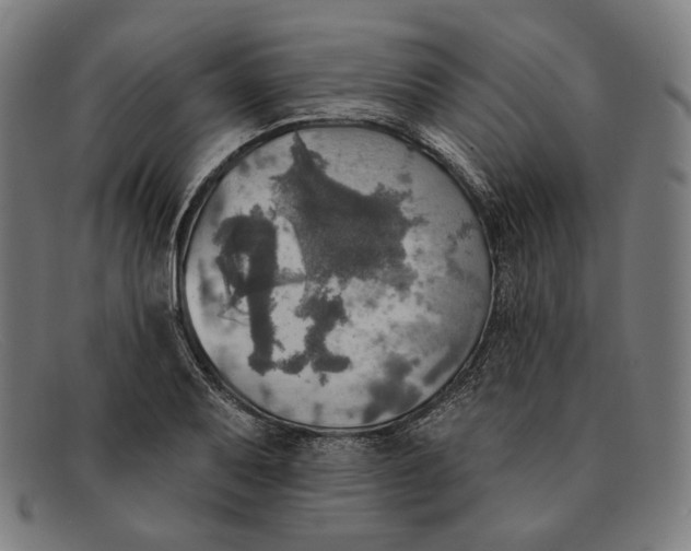 X0000091291079200708311312