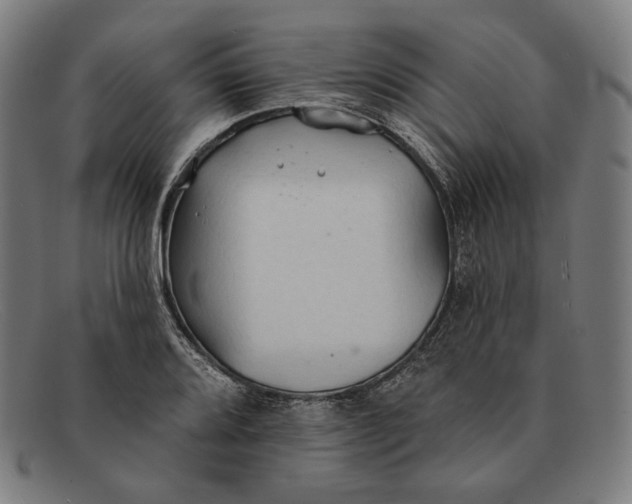 X0000091291080200708311312