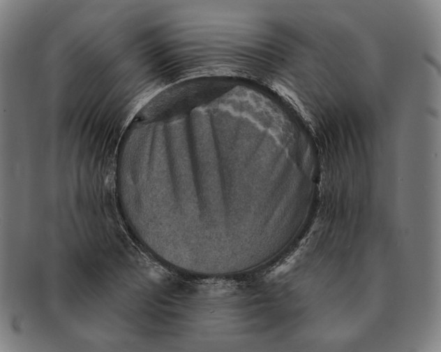 X0000091291081200708311312