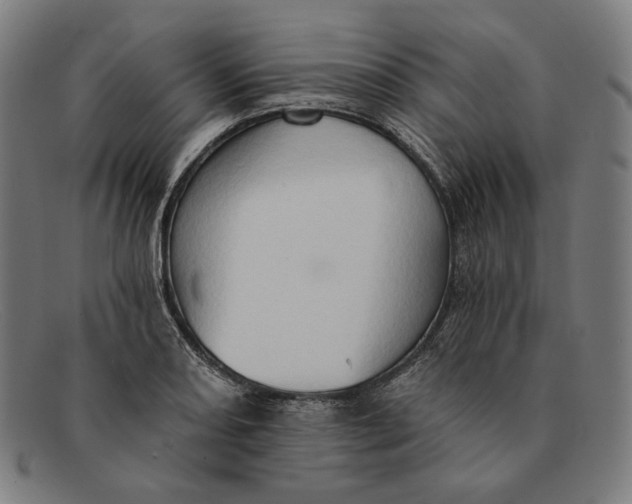 X0000091291082200708311312