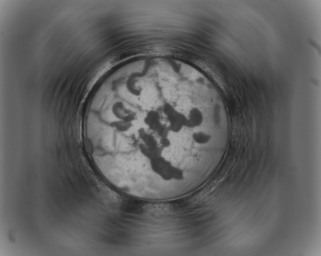 X0000091291083200708311312