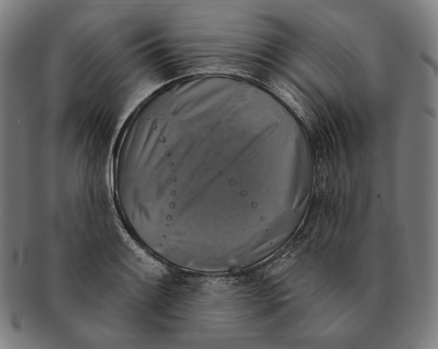 X0000091291084200708311312