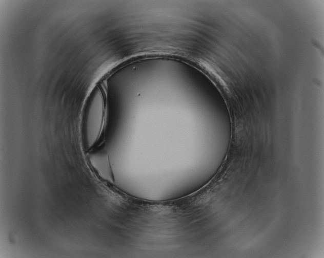 X0000091291085200708311312