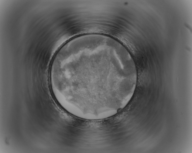 X0000091291086200708311312