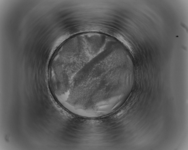 X0000091291088200708311312