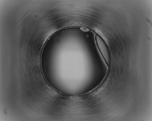 X0000091291089200708311312