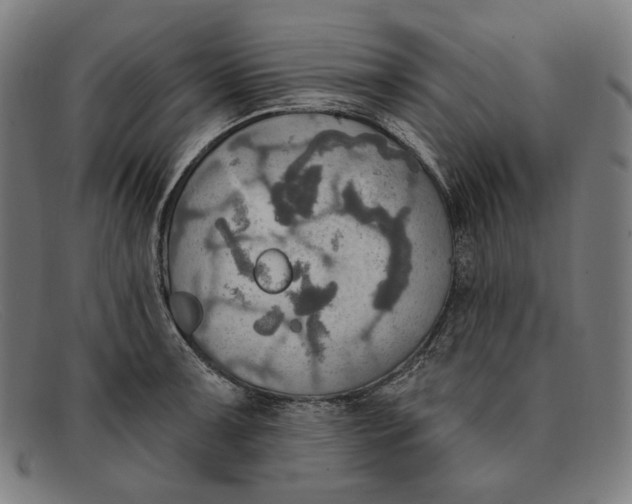 X0000091291091200708311312