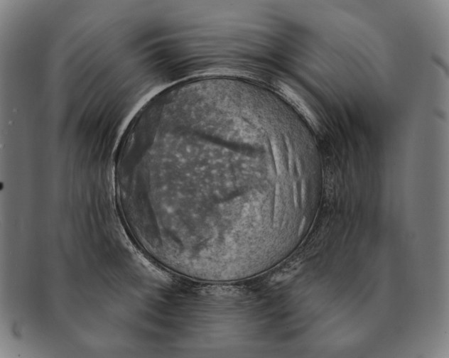 X0000091291092200708311312