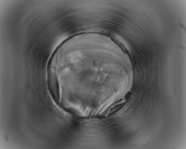 X0000091291095200708311312