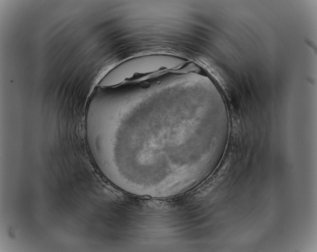 X0000091291097200708311312