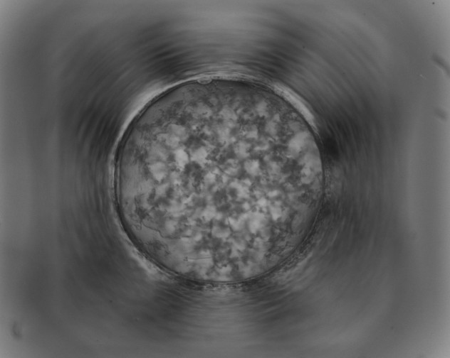 X0000091291099200708311312