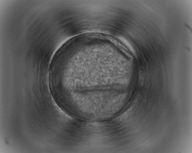 X0000091291100200708311312