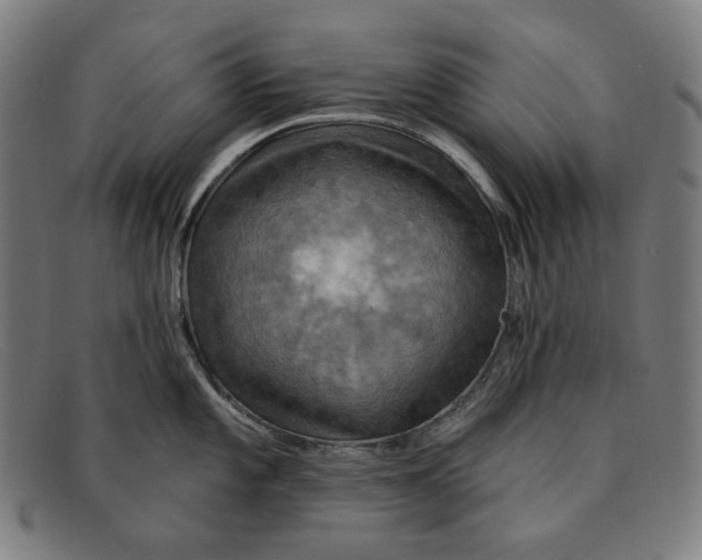 X0000091291101200708311312