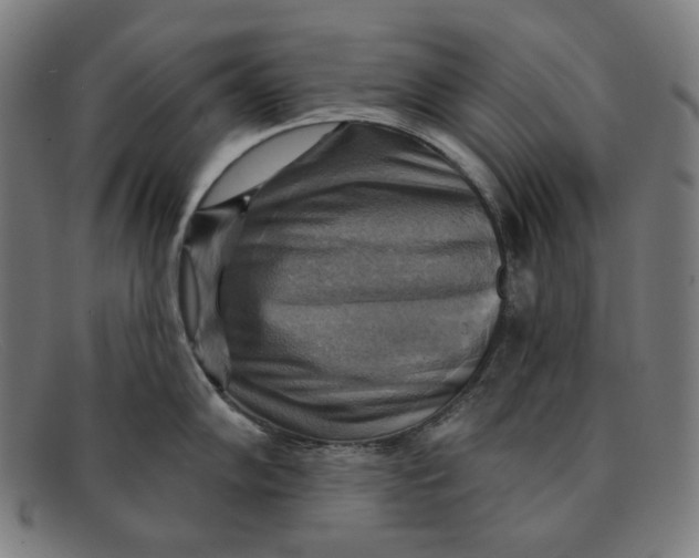 X0000091291102200708311312