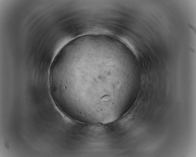 X0000091291103200708311312