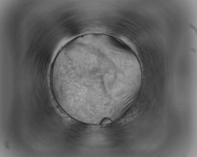 X0000091291104200708311312