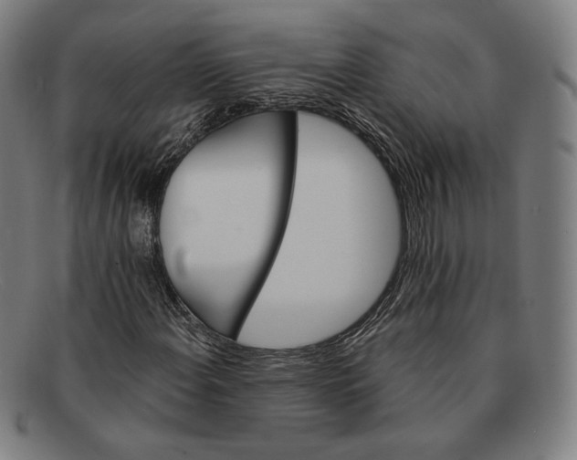 X0000091291108200708311311