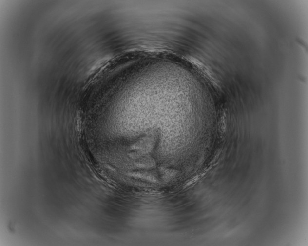 X0000091291110200708311311