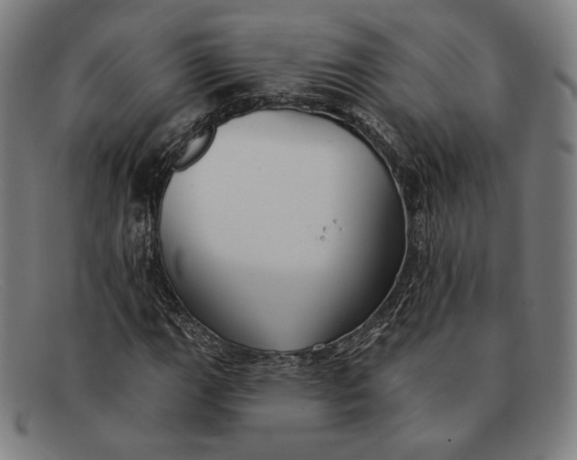 X0000091291111200708311311