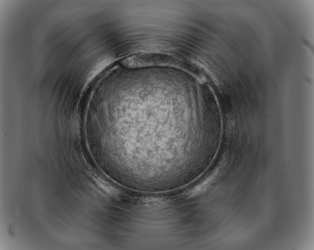 X0000091291114200708311311