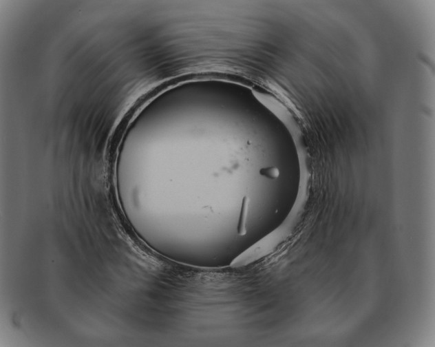 X0000091291116200708311311