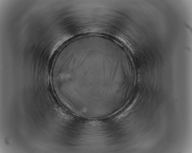 X0000091291117200708311311