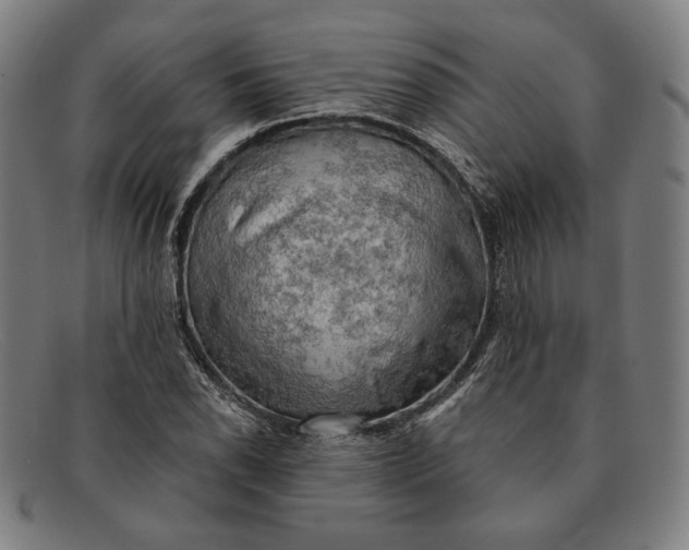 X0000091291118200708311311