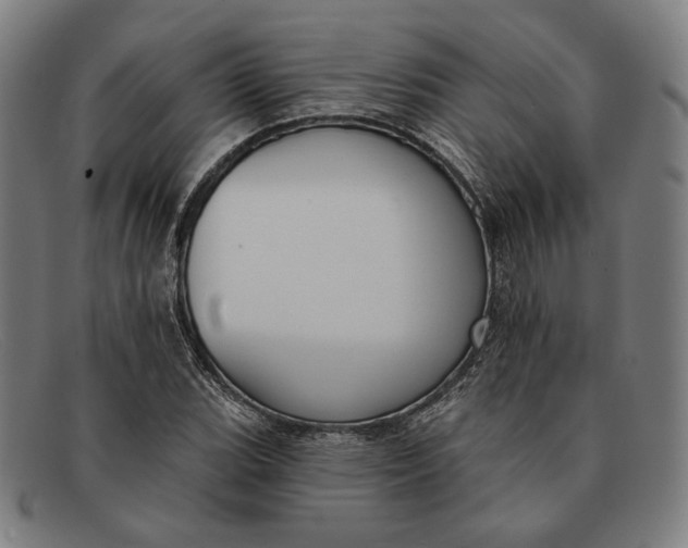 X0000091291119200708311311