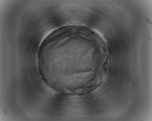 X0000091291120200708311311