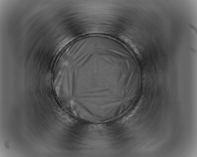 X0000091291121200708311311