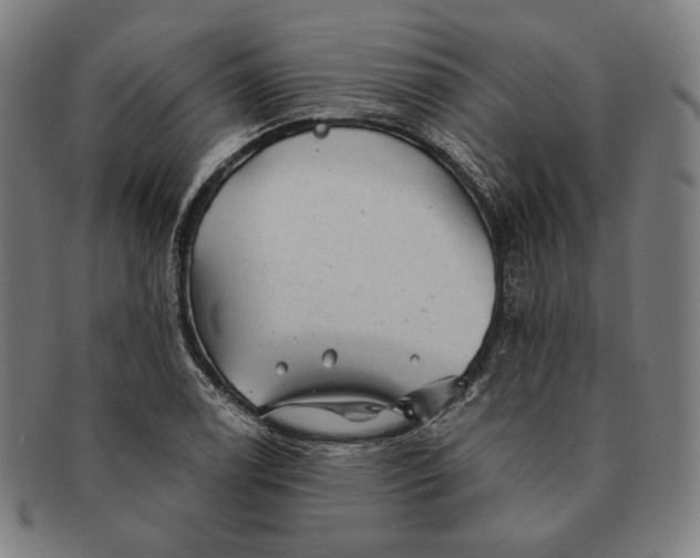 X0000091291122200708311311