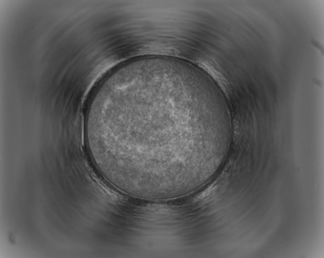 X0000091291123200708311311