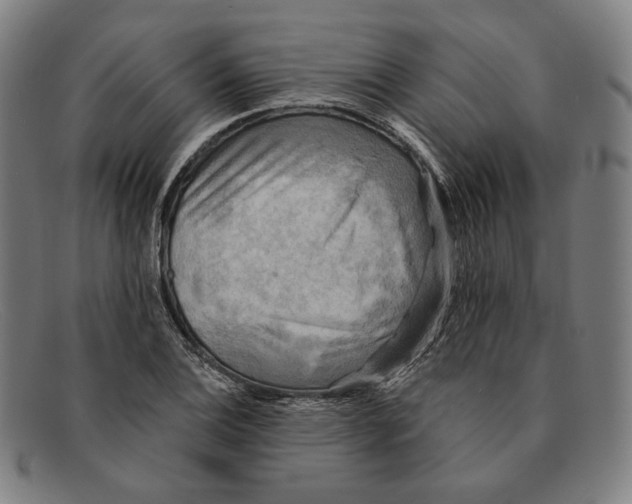 X0000091291124200708311311