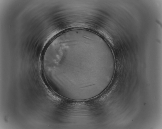 X0000091291125200708311311