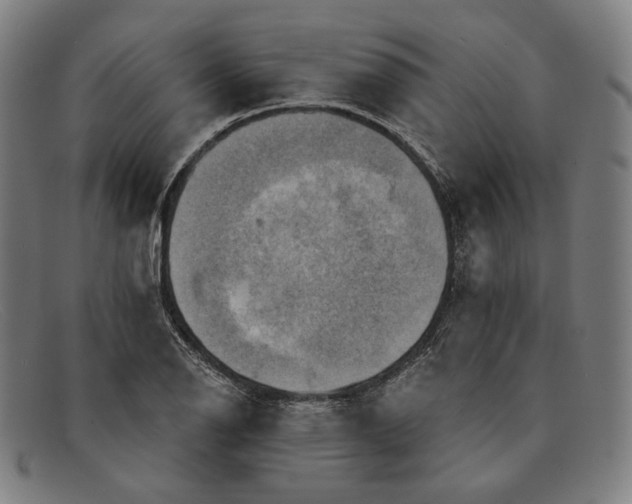 X0000091291126200708311311