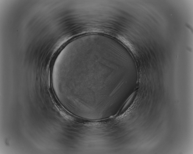 X0000091291127200708311311