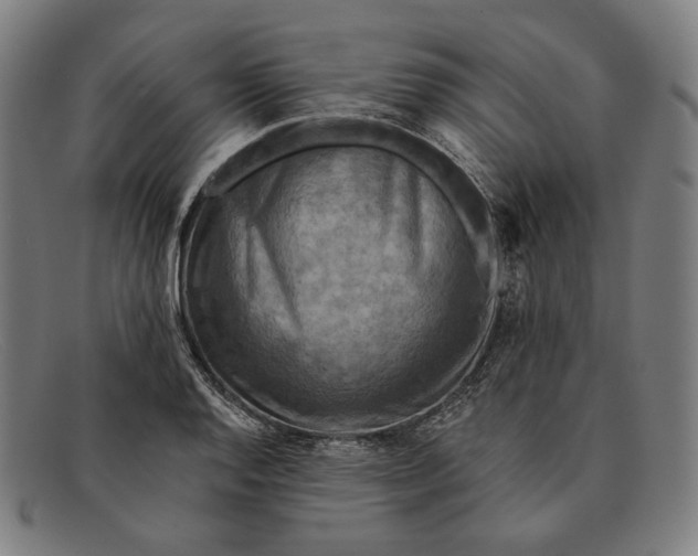 X0000091291128200708311311