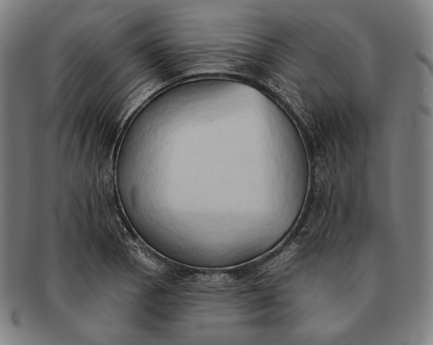 X0000091291129200708311311