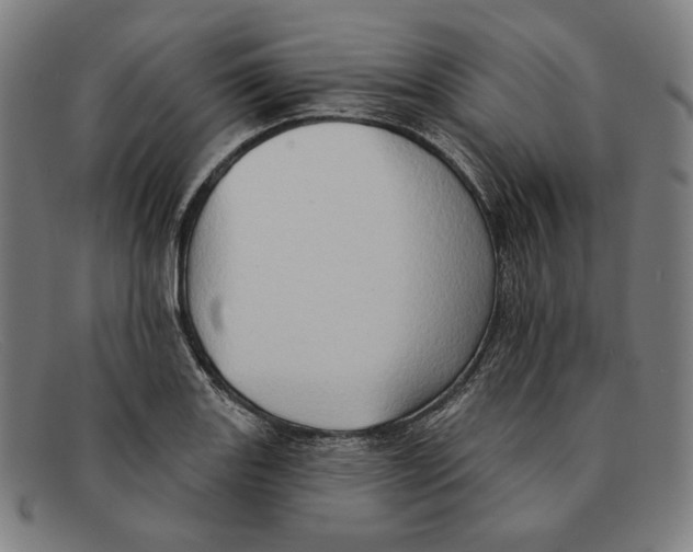 X0000091291131200708311312