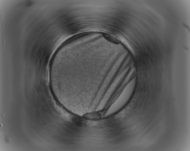 X0000091291132200708311312