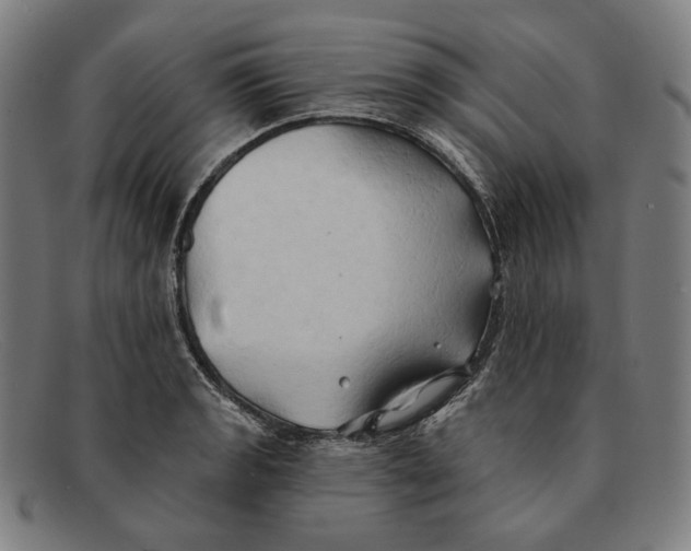 X0000091291133200708311312