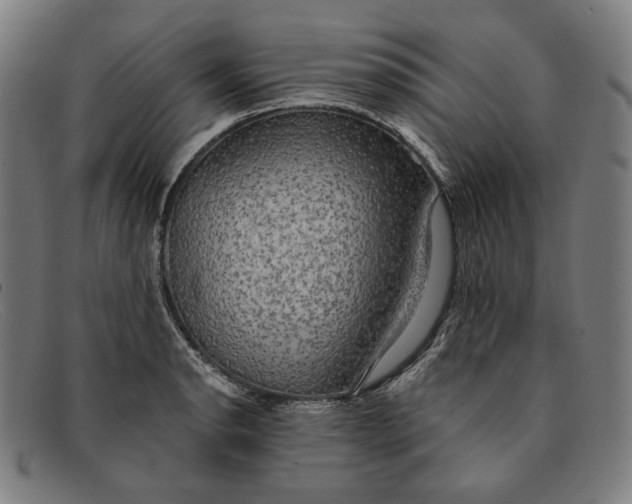 X0000091291134200708311312