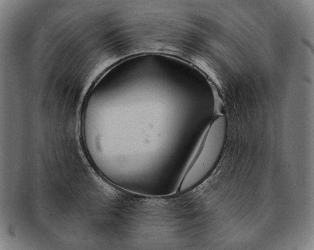 X0000091291136200708311312