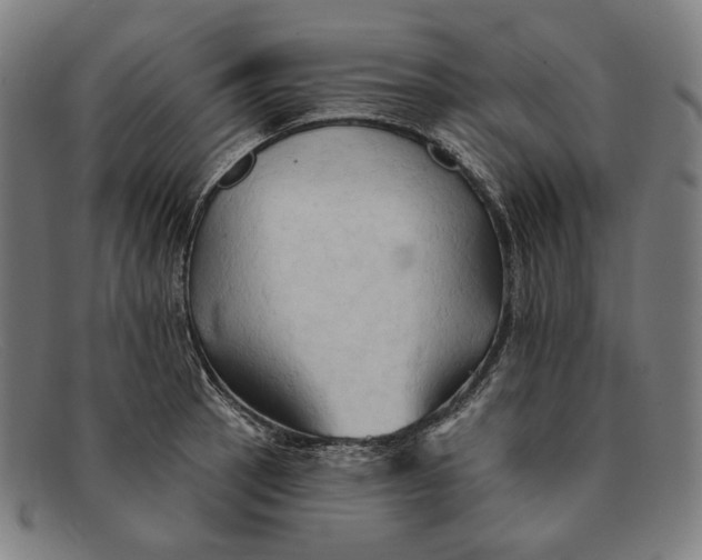 X0000091291137200708311312