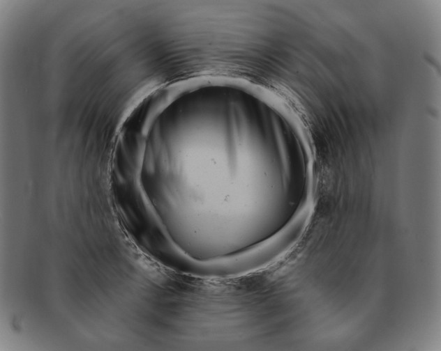 X0000091291138200708311312