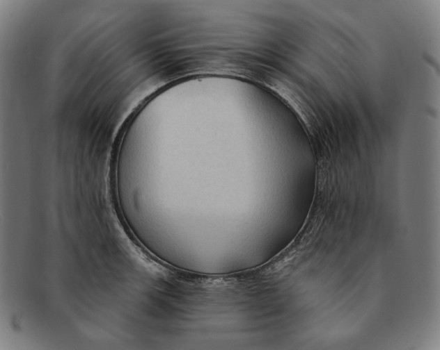 X0000091291139200708311312