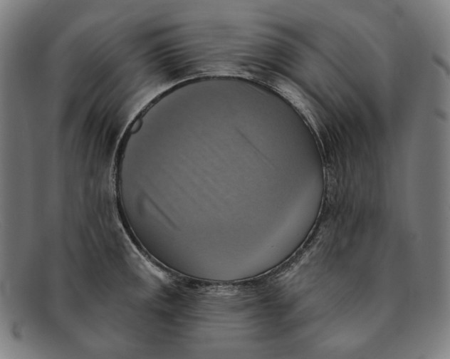 X0000091291141200708311312